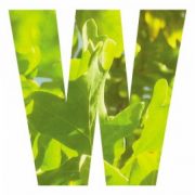 (c) Wychwoodwildgarden.org.uk